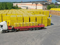 Газобетонный блок Istkult D500 625x50x250 Фото 5